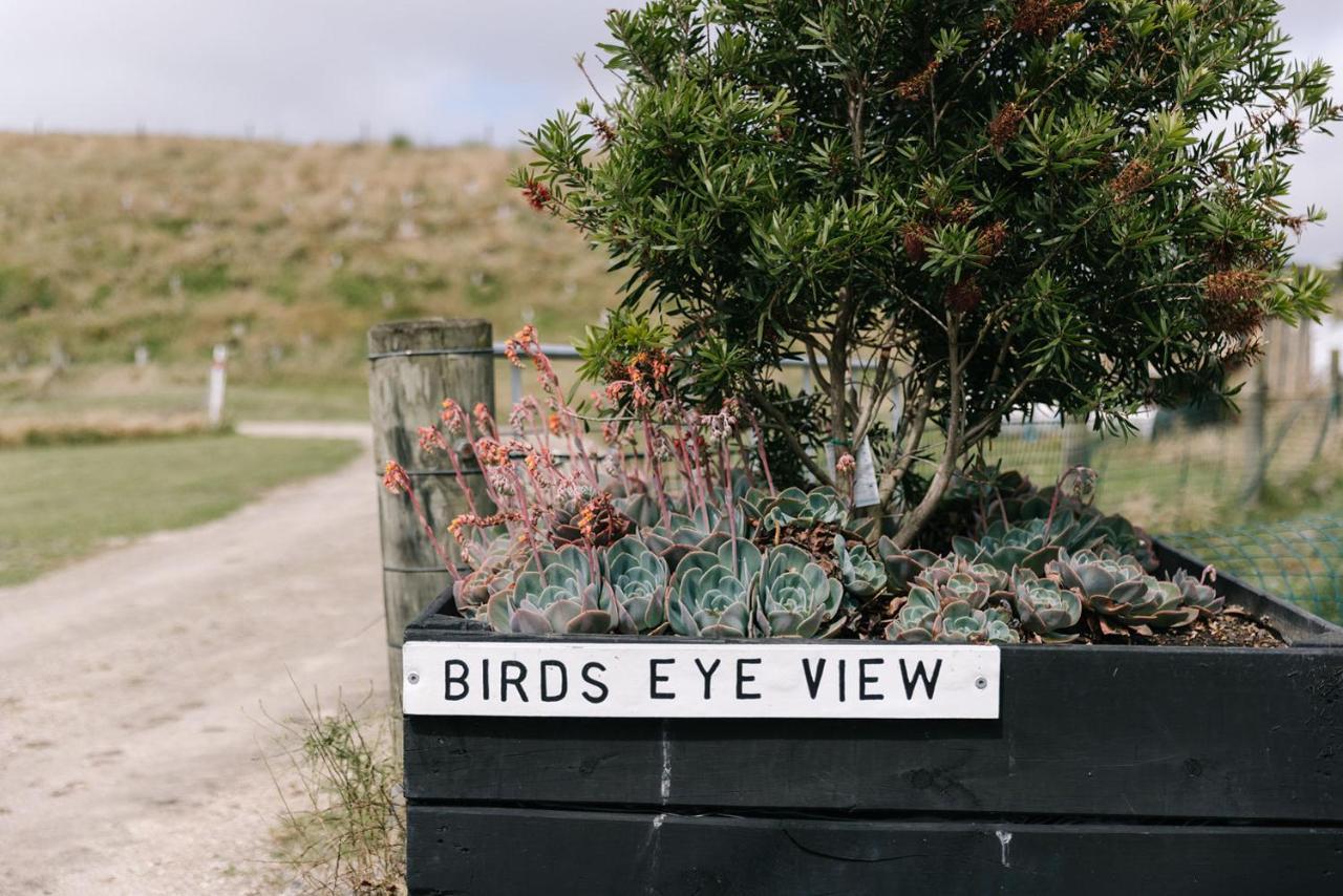 Birds Eye View Daire Havelock North Dış mekan fotoğraf